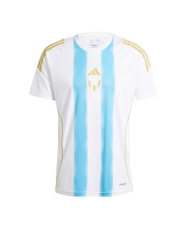 Messi Argentina Pitch 2 Street Training Jersey 2024 - Blue&White
