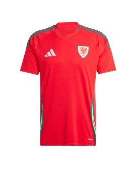 Wales Home Jersey EURO 2024